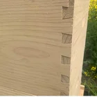 Bee Factory Supply Pine Wood Honey Beehive 2 Layers Bee Box Langstroth Bee Hive For Bee