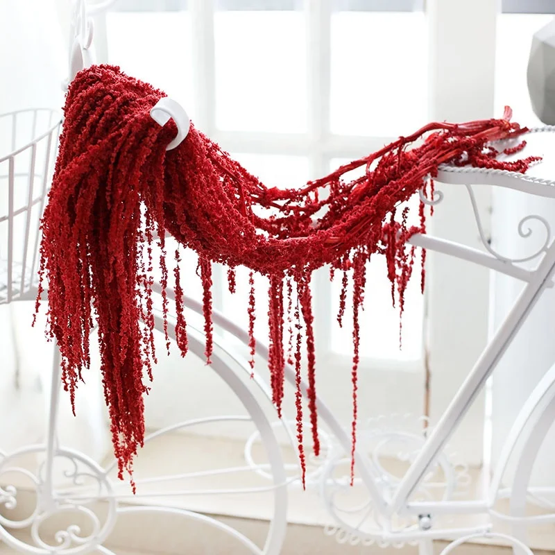 L090 Hot Sale Wholesale Price Colorful Dried Preserved Flowers Amaranthus Valentine'S Tears Lover'S Tear Flower For Wedding
L090 Hot Sale Wholesale Price Colorful Dried Preserved Flowers Amaranthus Valentine'S Tears Lover'S Tear Flower For Wedding