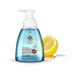 Anti-bacterial Natural Mini Hand Wash Gel Bubble Soap Liquid Names of Hand Wash