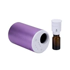 Best Luxury USB Battery Powered Custom Logo Portable Scent Oil Car Air Freshener Diffuser