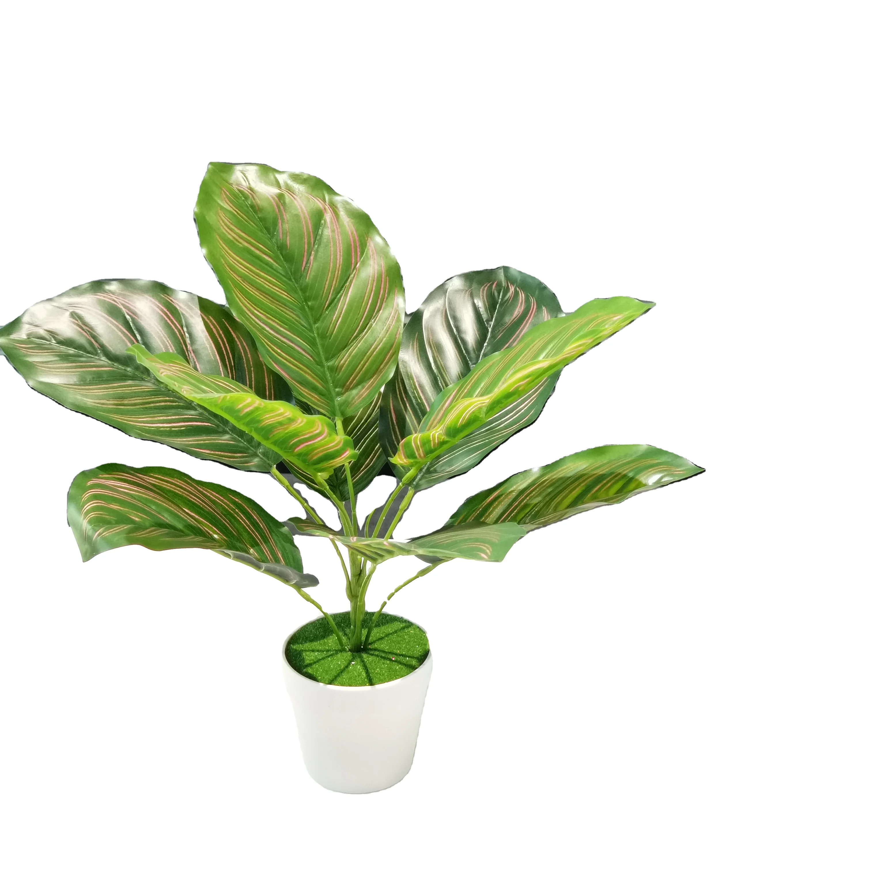Artificial plants ready to ship low moq high quality small potted plants aluminium bonsai wire artificial fern plant, Green
Artificial plants ready to ship low moq high quality small potted plants aluminium bonsai wire artificial fern plant, Green