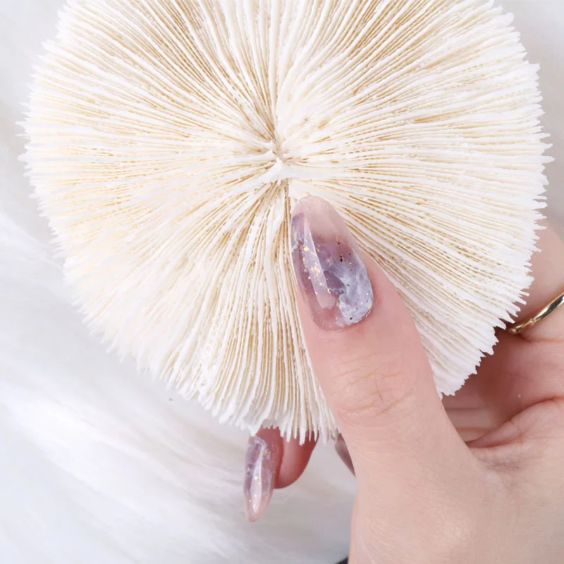 TSZS 2021 Nail Art White Shell Photo Props Background Display Professional Nail Salon Products, Nature
TSZS 2021 Nail Art White Shell Photo Props Background Display Professional Nail Salon Products, Nature