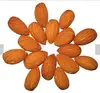 /product-detail/almond-kernels-good-quality-almond-nuts-raw-almond-without-shell-62308759555.html