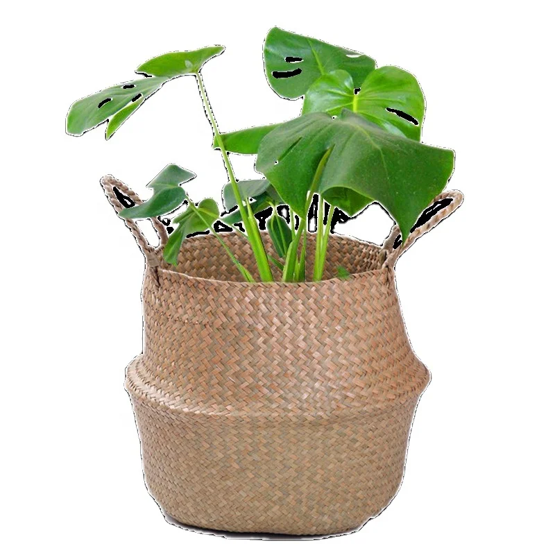 Straw small basket large capacity wall hanging flower pot straw plant flower pot with handle foldable woven modern flower pot
Straw small basket large capacity wall hanging flower pot straw plant flower pot with handle foldable woven modern flower pot