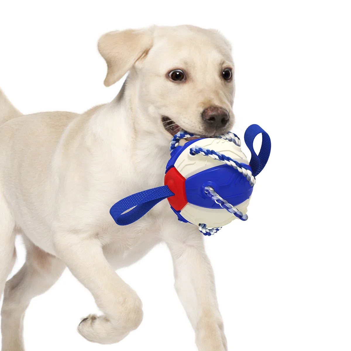 outdoor training interactive Frisbee football puzzle bite-resistant dog toy, Picture
outdoor training interactive Frisbee football puzzle bite-resistant dog toy, Picture