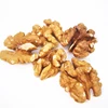 TTN 2018 Chinese Walnut Kernel Cheap Price Suppliers