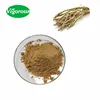 0.2%-20% Astragaloside IV Astragalus P.E/Astragalus Root extract/Astragalus Membranaceus powder
