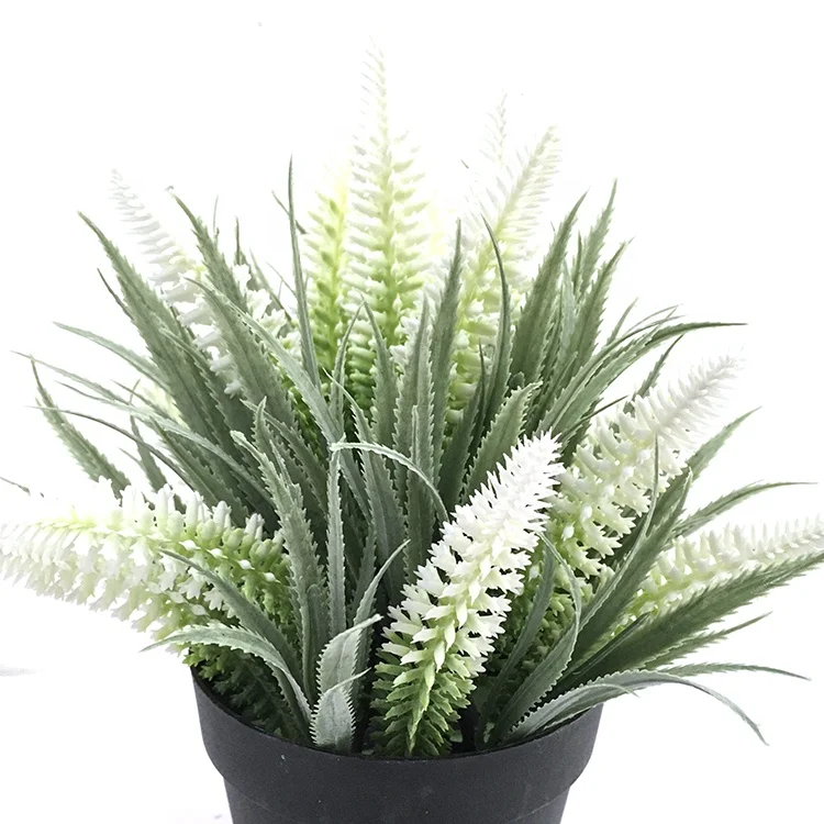 Vibrant lavender in a small paper cone green plants artificial plants outdoor decorative, Customized
Vibrant lavender in a small paper cone green plants artificial plants outdoor decorative, Customized