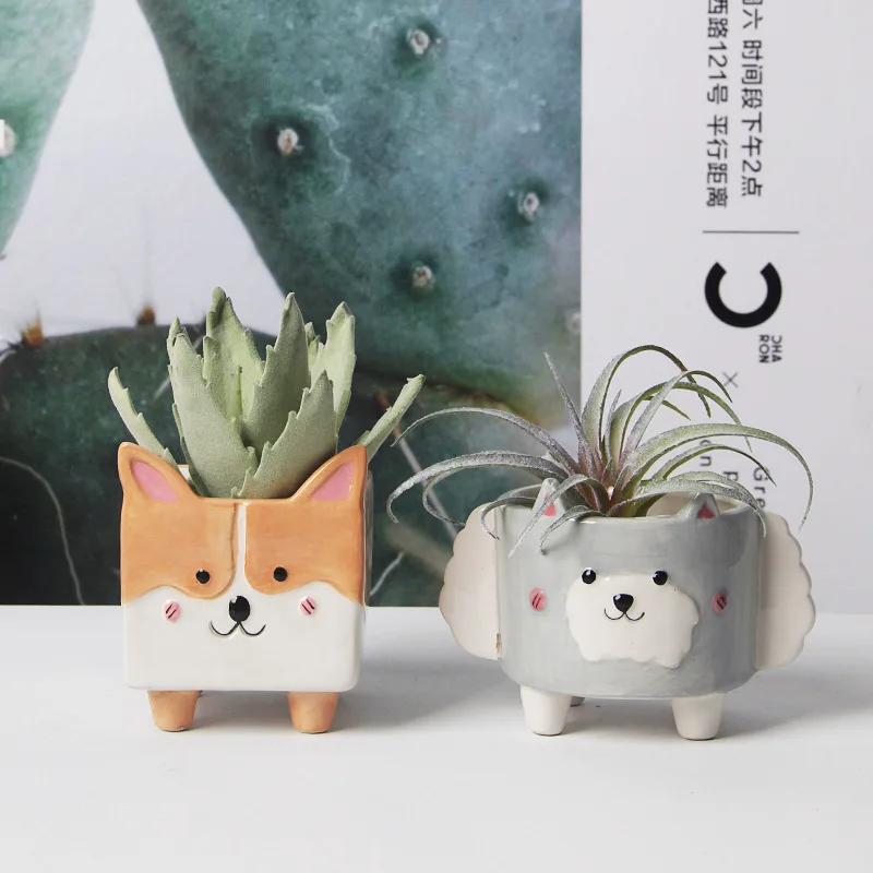 Small Animal Home Garden Cactus Planter Succulents Flower Pot Ceramic Geometric Mini corgi rabbit sheep Hedgehog Plant Flowerpot, Customized color
Small Animal Home Garden Cactus Planter Succulents Flower Pot Ceramic Geometric Mini corgi rabbit sheep Hedgehog Plant Flowerpot, Customized color
