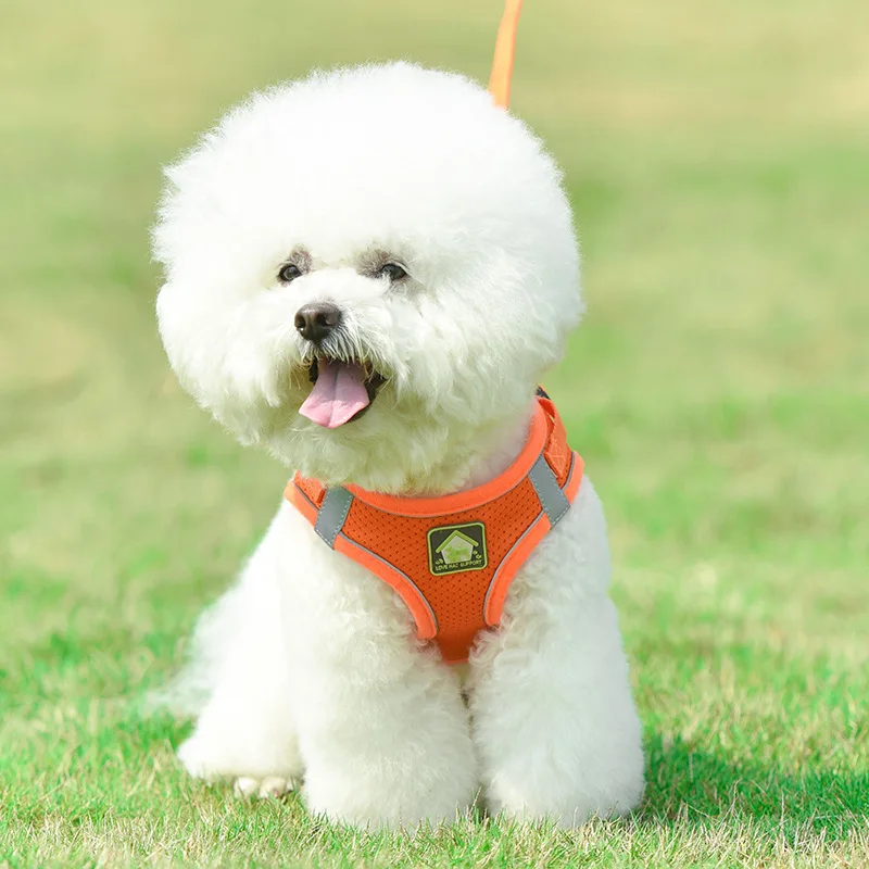 The New Pet Harness Vest-style Dog Hand Holding Rope Reflective Breathable Dog Rope Dog Chain
The New Pet Harness Vest-style Dog Hand Holding Rope Reflective Breathable Dog Rope Dog Chain