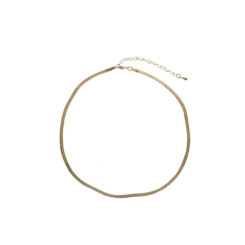 Wholesale Snake Bone Women Choker Simple Design Link Chain Collarbone Chain Necklace, Picture
Wholesale Snake Bone Women Choker Simple Design Link Chain Collarbone Chain Necklace, Picture