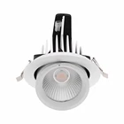 Die Cast Aluminum Trimless Adjustable Recessed AC220-240V LED Downlight 30w cob