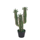 factory hot sale different styles sale artificial plastic cactus plant for sale