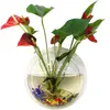/product-detail/transparent-acrylic-round-wall-mount-acrylic-fish-tank-aquarium-62229398915.html