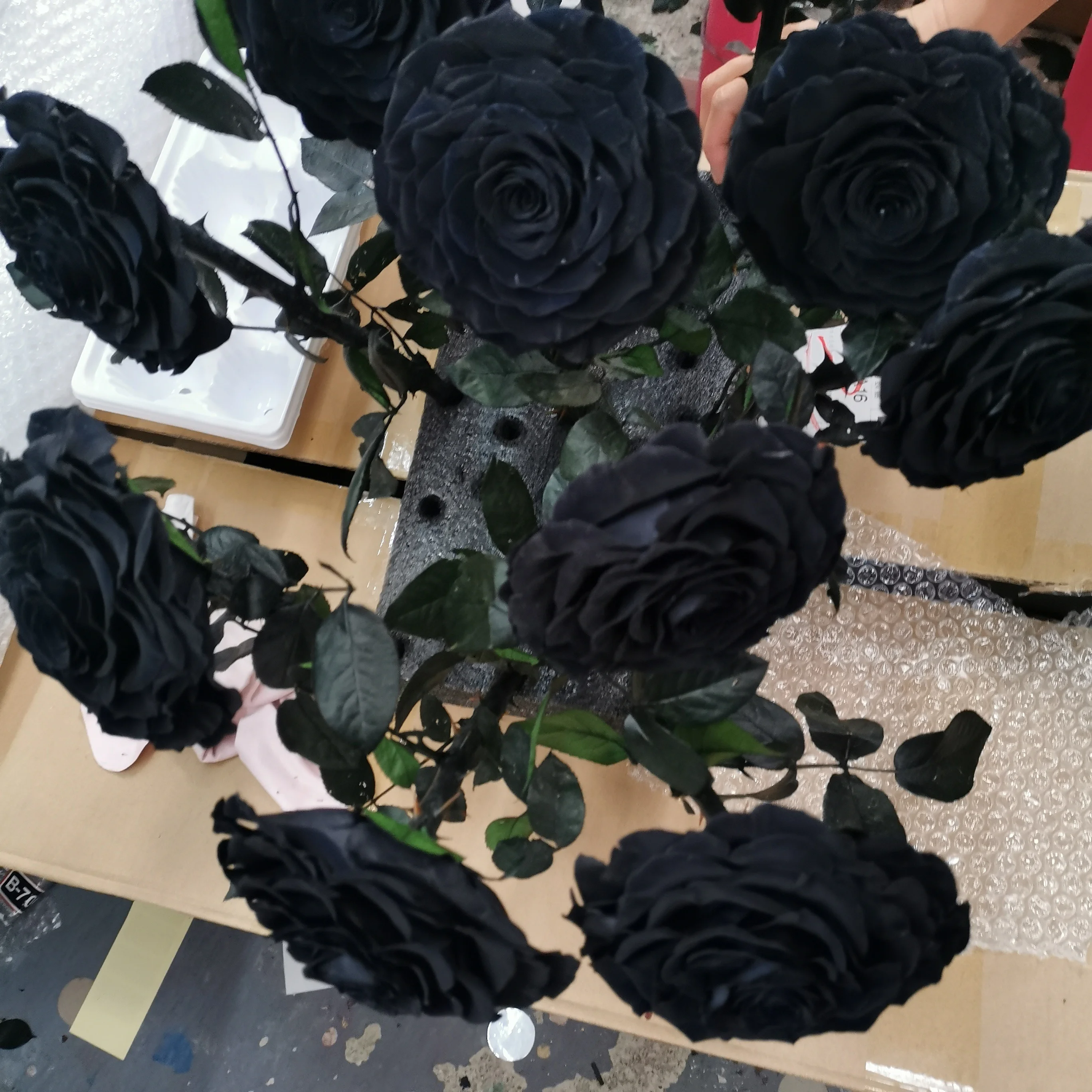 Bew дизайн сохранились Черная роза в стеклянном купольном туалете принц сохранились Роза