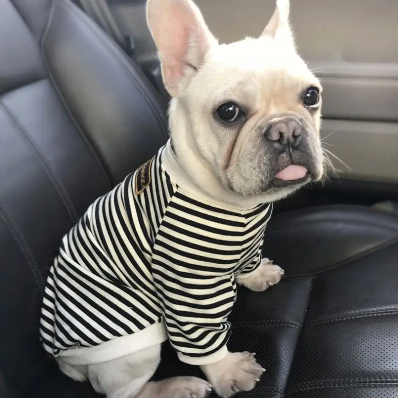 2022 Spring Fall Pet Dog O-neck Striped Hooded Hoodies Teddy Small Dog Clothes, Picture
2022 Spring Fall Pet Dog O-neck Striped Hooded Hoodies Teddy Small Dog Clothes, Picture