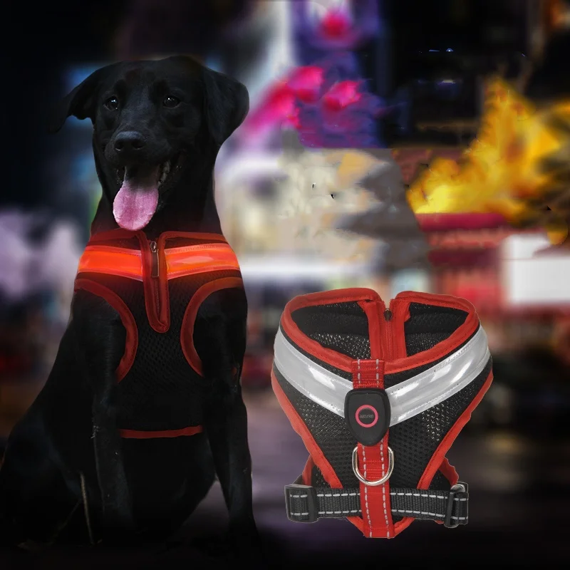 Amazon Best Seller Light Up Adjustable Vest Chest Led Pet Harness Led Rechargeable Led Dog Harness with zipper Dog Vest
Amazon Best Seller Light Up Adjustable Vest Chest Led Pet Harness Led Rechargeable Led Dog Harness with zipper Dog Vest