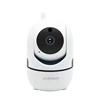 Hikvision OEM Voice and Motion Detection Fisheye Panoramic 960P HD Wifi Smart Cloud IP CCTV Mini Camera with Alarm