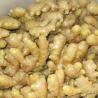 Chinese mature ginger fresh 2019