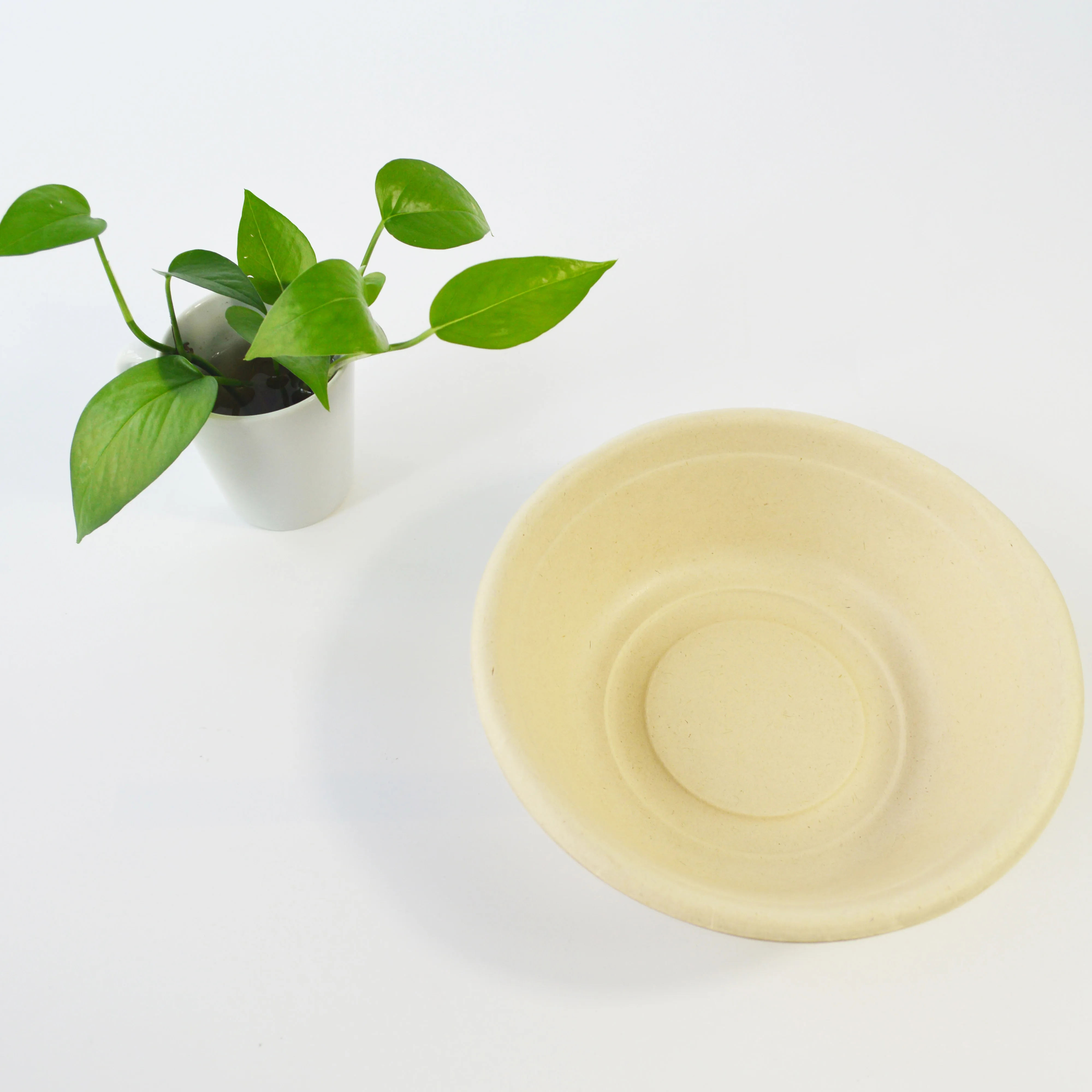 Wholesale Disposable Paper Bowl 350ml 500ml Bagasse Disposable Microwavable Soup Bowl Paper
Wholesale Disposable Paper Bowl 350ml 500ml Bagasse Disposable Microwavable Soup Bowl Paper