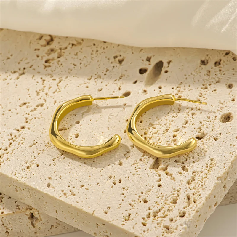 Fine Jewelry Earrings Hot Sale In Europe And America Sterling Silver Gold Hoop Earrings Women
Fine Jewelry Earrings Hot Sale In Europe And America Sterling Silver Gold Hoop Earrings Women
