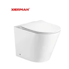 High Standard Sanitary Ware Ceramic Concealed Toilet Rimless Luxury Floor Mounted Toilet Seat
