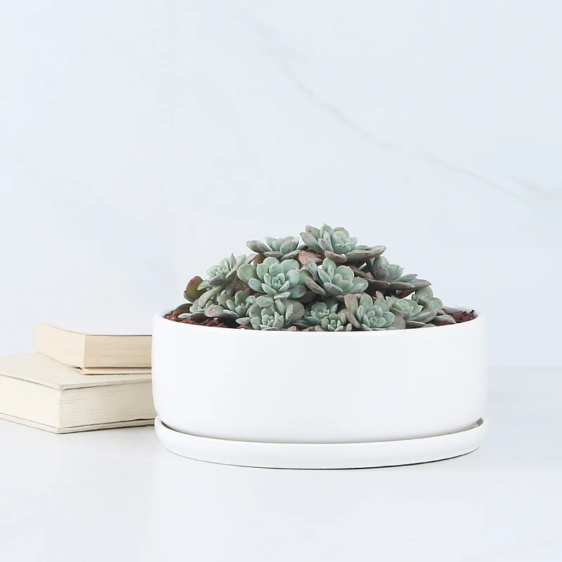 Wholesale Plant Pots For Table Ceramic Flower Succulent Pot Mini Ceramic Planter Set, Black
Wholesale Plant Pots For Table Ceramic Flower Succulent Pot Mini Ceramic Planter Set, Black