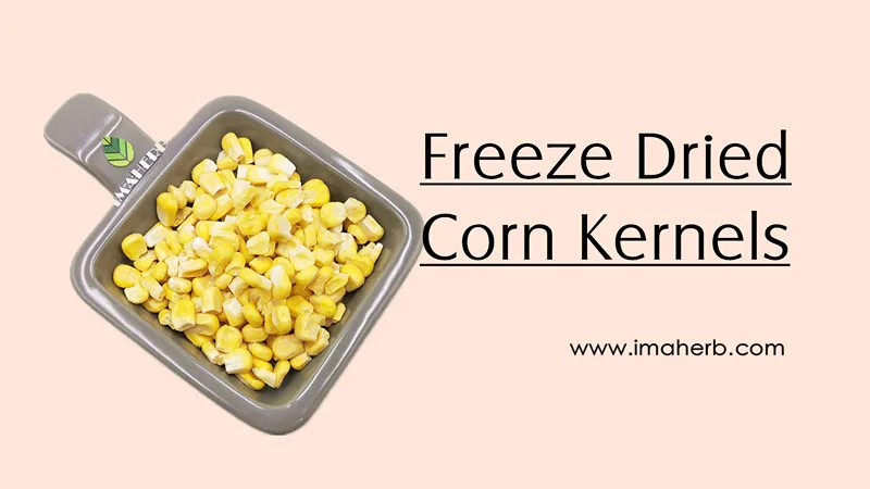  Dried Corn Recipes: Discover 10 Irresistible Ways to Elevate Your Meals