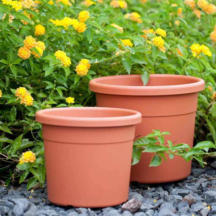 Wholesale Terracotta Pots Planters Sale Large Size Terracotta Plastic Outdoor Pour Vert Matte Cactus Plant Pot, Grey/brown/customized
Wholesale Terracotta Pots Planters Sale Large Size Terracotta Plastic Outdoor Pour Vert Matte Cactus Plant Pot, Grey/brown/customized