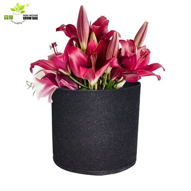 Competitive Price Gardening Pot Plant Bags Polyester Seedling Nursaery Bag Non Woven Grow Bags For Plants, Black
Competitive Price Gardening Pot Plant Bags Polyester Seedling Nursaery Bag Non Woven Grow Bags For Plants, Black