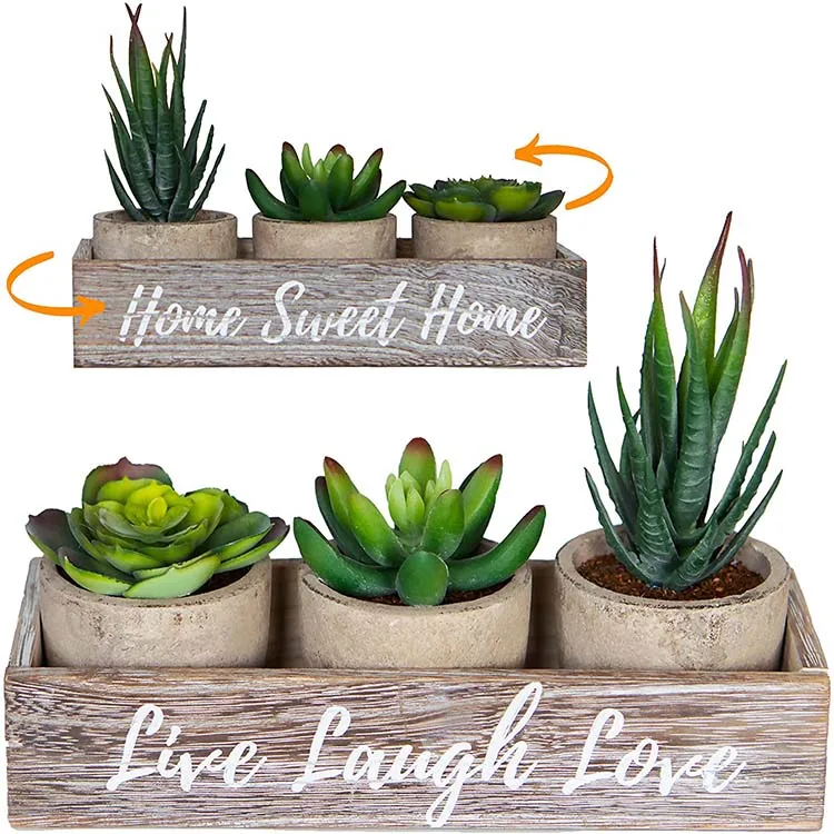 Plants with Pots with Rustic Planter Box Home Sweet Home Live Laugh Love, Customized color
Plants with Pots with Rustic Planter Box Home Sweet Home Live Laugh Love, Customized color