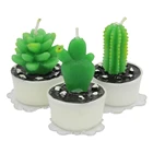 Hot selling factory direct sale home decoration party decoration support beautiful plant candle cactus candle
