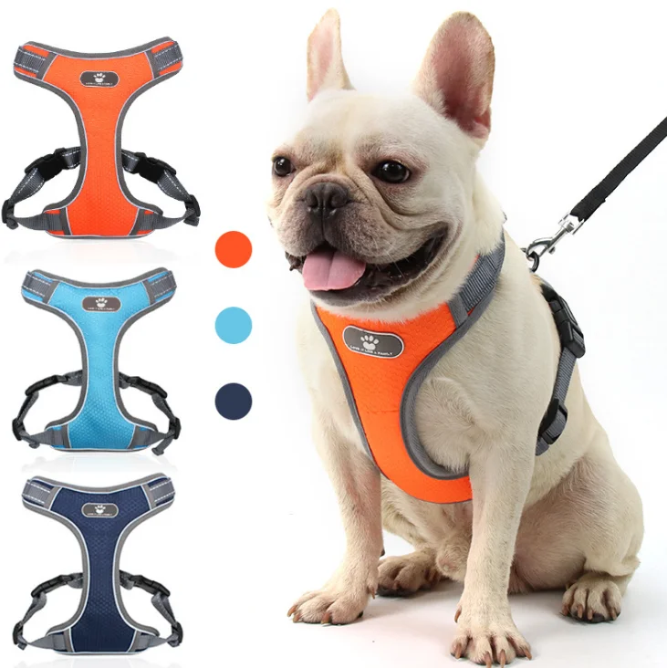 Wholesale China Trade Ecoluxury Pet Harness And Leash Adjustable Pet Harness Vest
Wholesale China Trade Ecoluxury Pet Harness And Leash Adjustable Pet Harness Vest