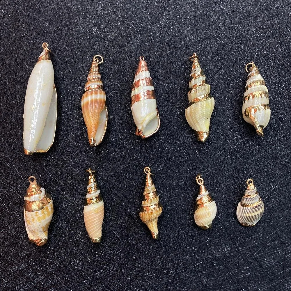 2022 shell pendant natural conch pendant sea shell Conch For Home Wedding Party Decorations
2022 shell pendant natural conch pendant sea shell Conch For Home Wedding Party Decorations