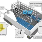 pig farm equipment pig fattening pen piglet growth crate and Hot Dip Galvanized Pig Farrowing Pens with New Design