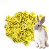 /product-detail/hot-sales-rabbit-animal-identification-tag-plastic-rabbit-ear-tags-62163418197.html