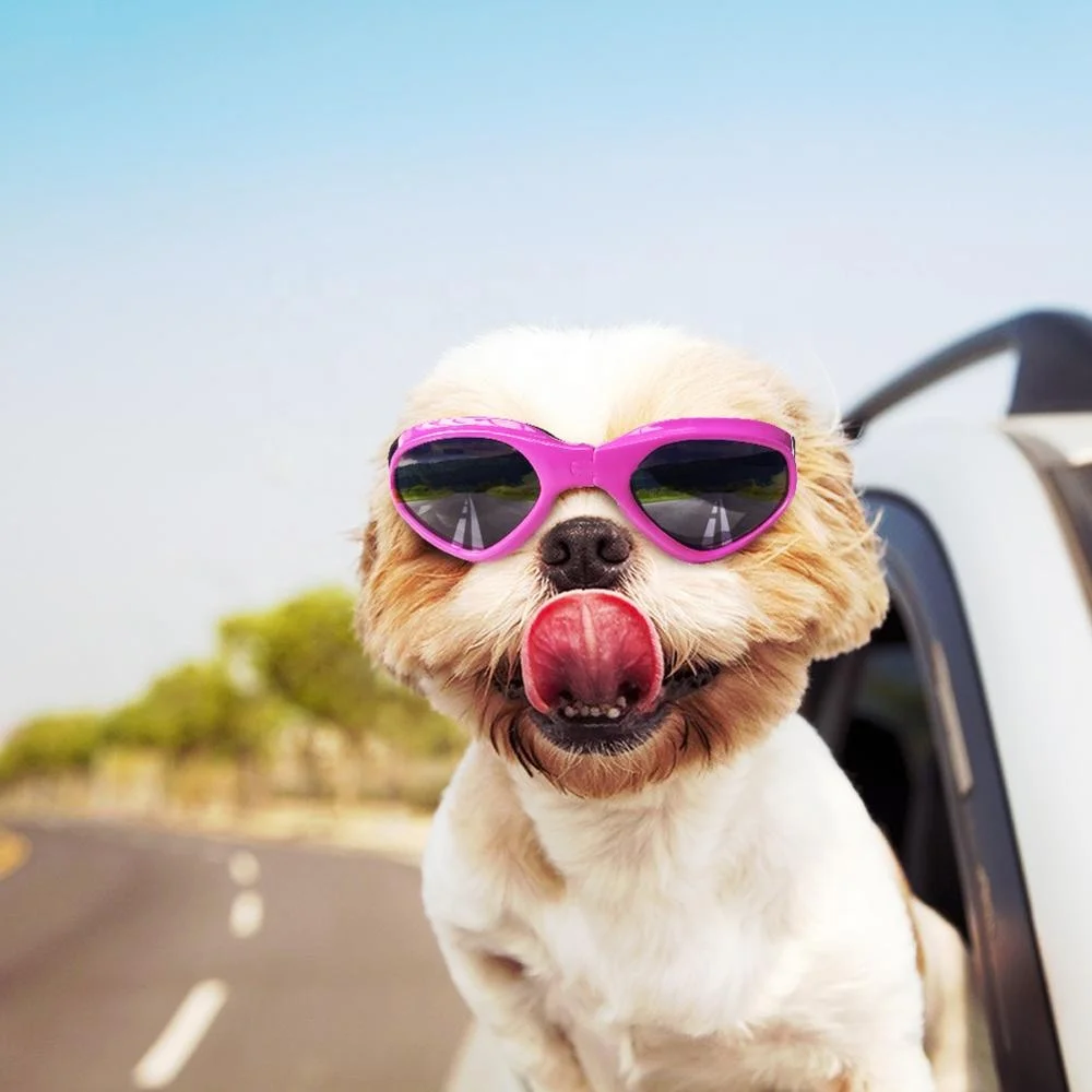 Amazon Hot Sale Pet Dog Goggles Folding Sunglasses UV Protection Size Adjustable Sun Protect Goggle Fashion Glasses, White blue red pink yellow black
Amazon Hot Sale Pet Dog Goggles Folding Sunglasses UV Protection Size Adjustable Sun Protect Goggle Fashion Glasses, White blue red pink yellow black