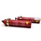 Automatic Hanging 0.3kg Dry Powder Fire Fighting Extinguisher
