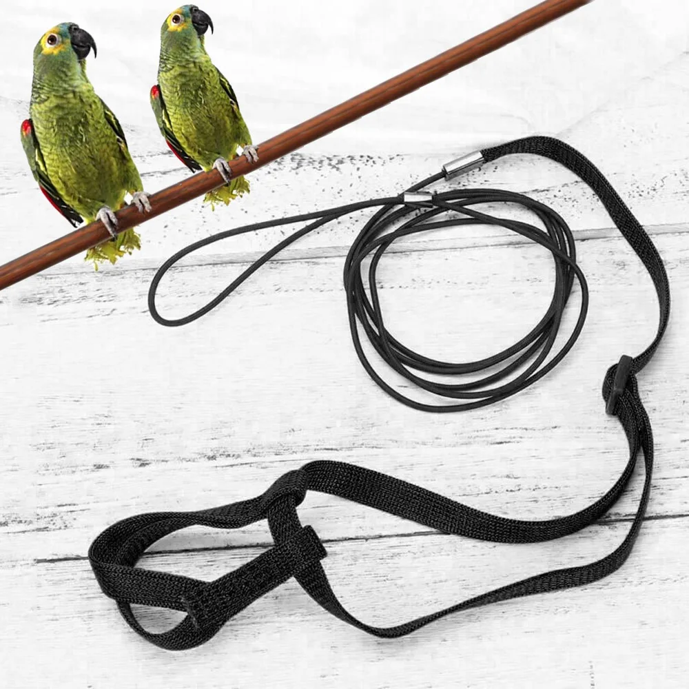 Factory Price Strong Nylon Adjustable Outdoor Flying Bird Toy Bird Leash Parrot Harness, Black, green
Factory Price Strong Nylon Adjustable Outdoor Flying Bird Toy Bird Leash Parrot Harness, Black, green