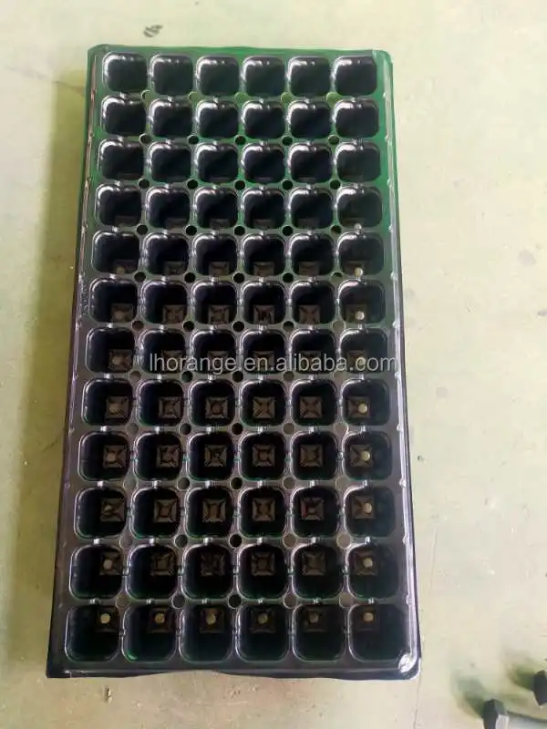 seeding trays.jpg