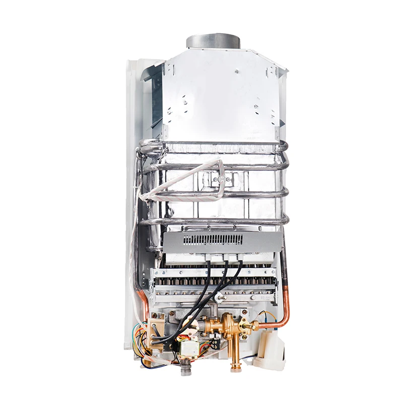 balanced flue gas water heater