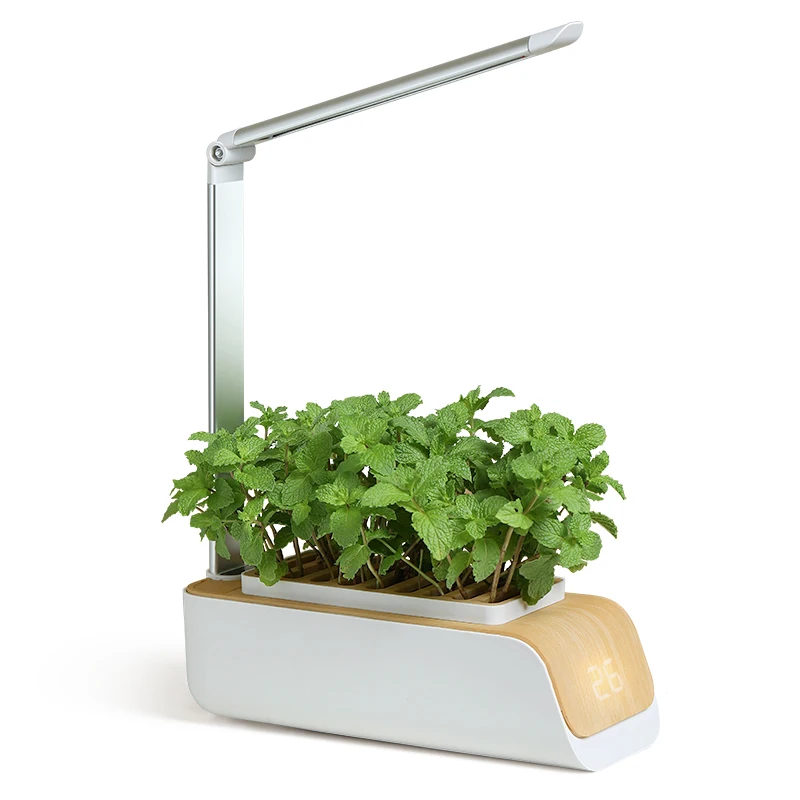 2021 New Arrival Home Garden Household Vegetables Herbs Flower Hydroponics Intelligent Smart Planter Garden, Customized color
2021 New Arrival Home Garden Household Vegetables Herbs Flower Hydroponics Intelligent Smart Planter Garden, Customized color