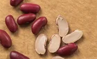 Price Beans The Price Of Chinese Red Kidney Beans Is Very Good And Cheap
