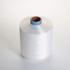 Yarn Raw White Raw Raw White Polyester Yarn Polyester Yarn 75/36 Dty Semi-dull Raw White NIM