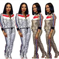 Autumn Winter Women Two Piece Set Top and Pants Plus Size Tracksuit Sweatsuit Outfit Snake Print Jacket and Pants Suits
Autumn Winter Women Two Piece Set Top and Pants Plus Size Tracksuit Sweatsuit Outfit Snake Print Jacket and Pants Suits