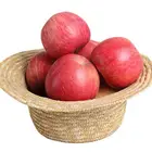 Hot sale Sweet Fresh Apple Fuji Apples Fruit for Sale