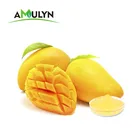 Manufacture Instant Healthy flavor mango juice powder