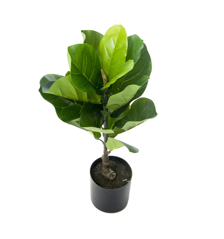 2021 new artificial violin plant fig tree extra large artificial tree Ficus pandurata Hance Artificial plant
2021 new artificial violin plant fig tree extra large artificial tree Ficus pandurata Hance Artificial plant