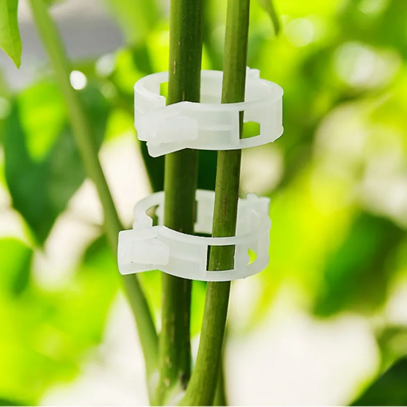 50Pcs Durable Transparent Garden Plant Support Clip Gardening Vegetable Plastic Hanging Fixed Clip Gardening Supplies
50Pcs Durable Transparent Garden Plant Support Clip Gardening Vegetable Plastic Hanging Fixed Clip Gardening Supplies