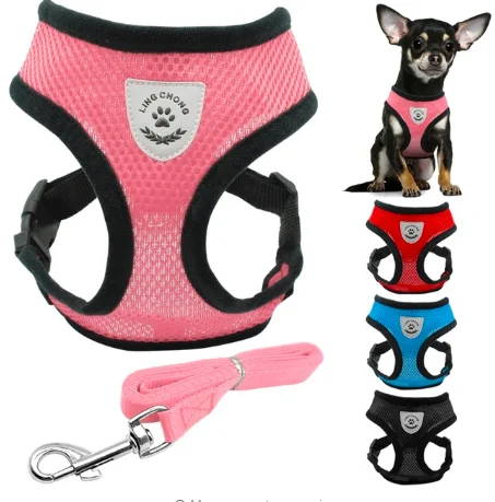 2021 Amazon Hot Mesh Harness Pet Collars Leash For Dog Pet Bulk Dropshipping, Black,red,blue,green,pink,orange,light pink
2021 Amazon Hot Mesh Harness Pet Collars Leash For Dog Pet Bulk Dropshipping, Black,red,blue,green,pink,orange,light pink